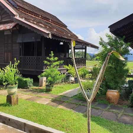 Tanabendang Banglos Pantai Cenang  Exterior foto